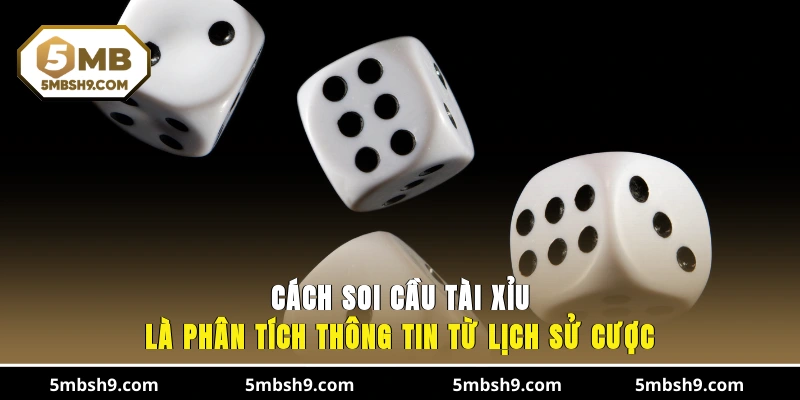 Cách soi cầu tài xỉu là phân tích thông tin từ lịch sử cược