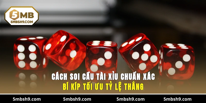 Cách Soi Cầu Tài Xỉu Chuẩn Xác