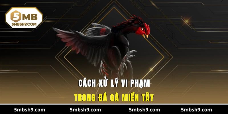 Cách xử lý vi phạm trong đá gà miền Tây