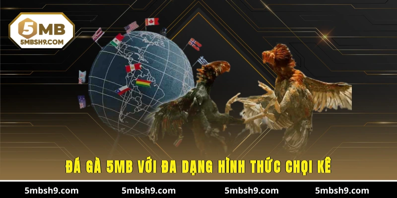Đá gà 5MB với đa dạng hình thức chọi kê