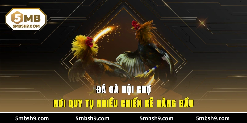 Đá Gà Hội Chợ