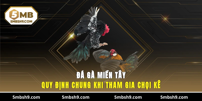 Đá Gà Miền Tây