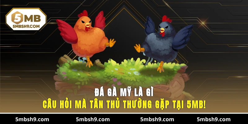 Đá Gà Mỹ