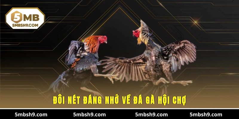Đôi nét đáng nhớ về đá gà hội chợ