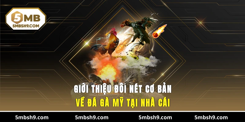 Giới thiệu đôi nét cơ bản về đá gà Mỹ tại nhà cái
