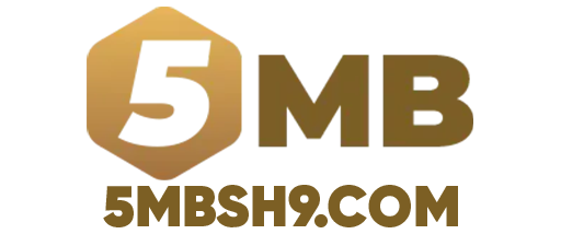 5MB