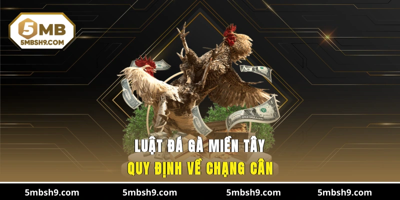 Luật đá gà miền Tây quy định về chạng cân