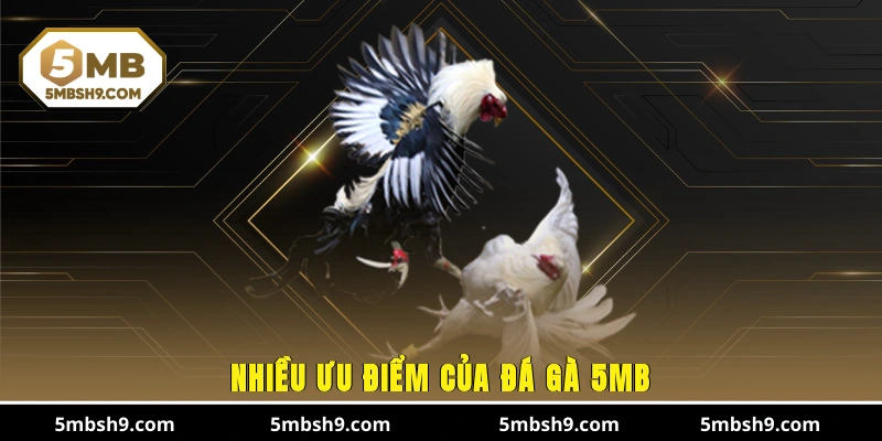 Nhiều ưu điểm của đá gà 5MB