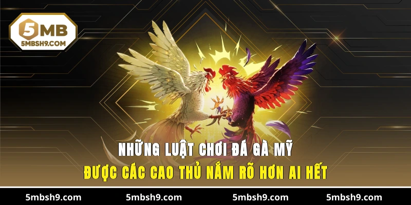 Những luật chơi đá gà Mỹ được các cựa thủ nắm rõ hơn ai hết