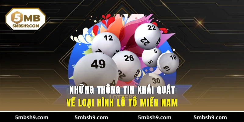 Những thông tin khái quát về loại hình lô tô miền Nam