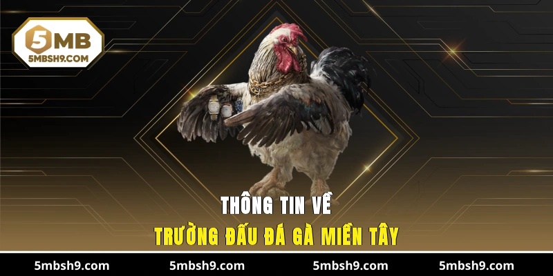 Thông tin về trường đấu đá gà miền Tây